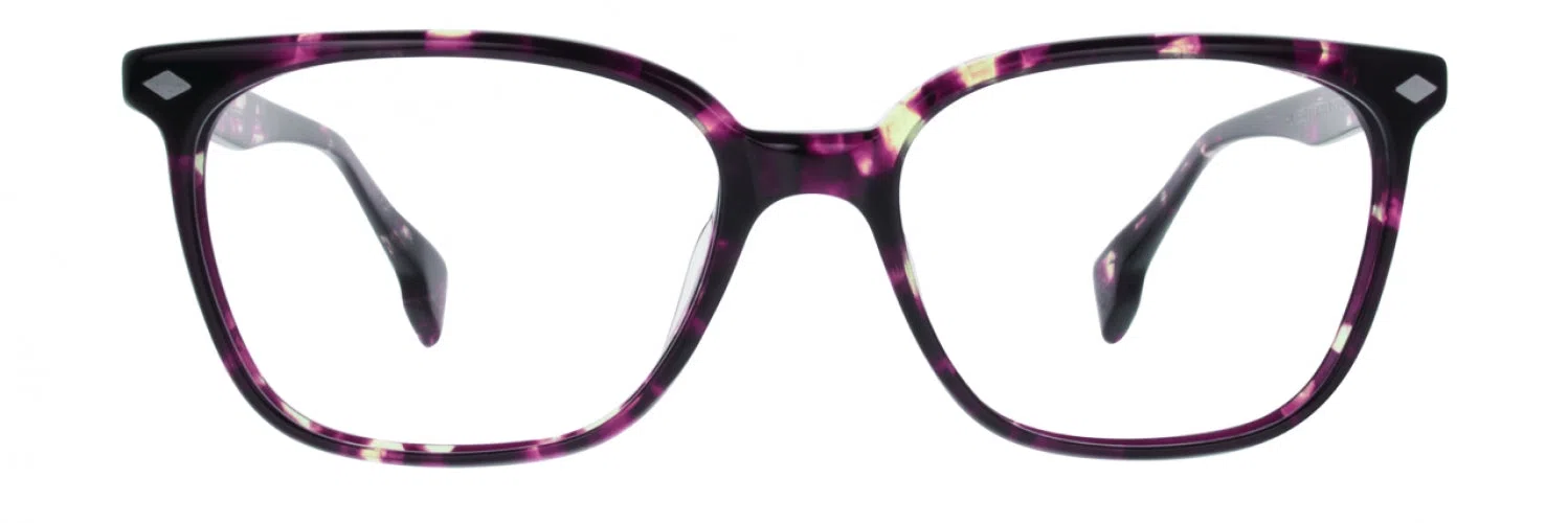 STATE Optical Co. HUMBOLDT Eyeglasses - view 2